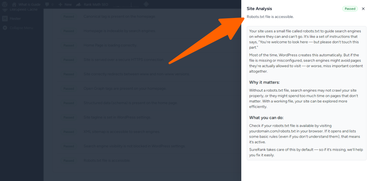 19. Robots.txt file is accessible - site seo analyzer in sure rank