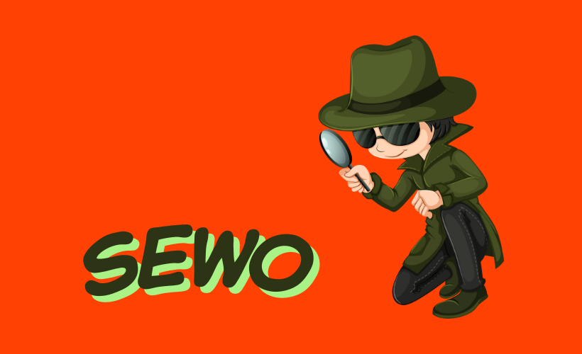 What does SEWO Mean? - Search Everywhere Optimization